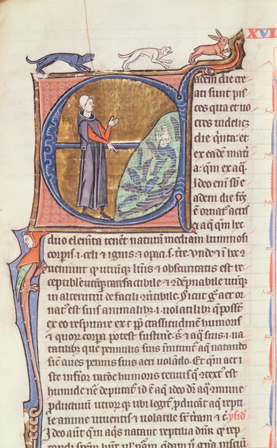 Ms 426 fol.213 Un docteur près d